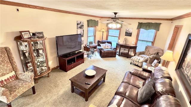 6190 3rd Ave, Kent, OH 44240 - living area featuring carpet floors, a ceiling fan, and ornamental molding