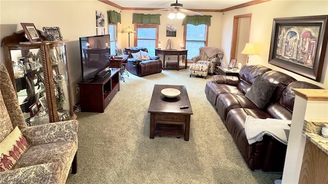6190 3rd Ave, Kent, OH 44240 - carpeted living room with ornamental molding and a ceiling fan