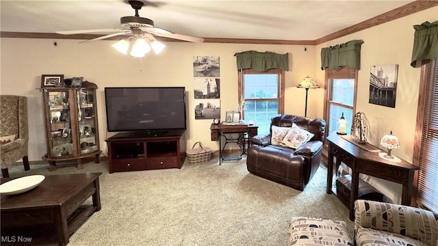 6190 3rd Ave, Kent, OH 44240 - living room with a ceiling fan, carpet flooring, and crown molding