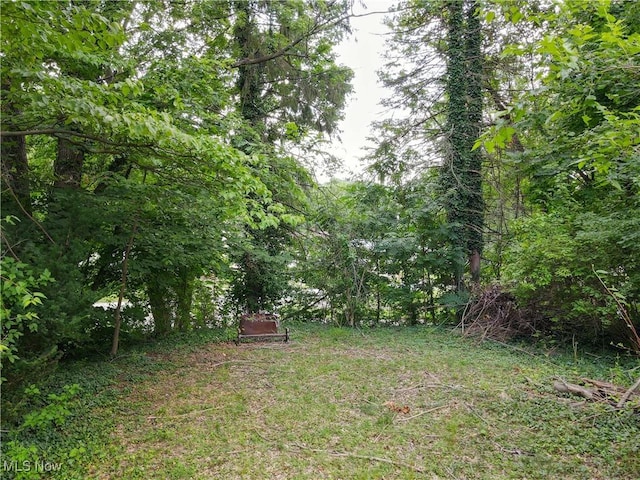 1672 Battery B St, Akron, OH 44305 - view of yard with a forest view