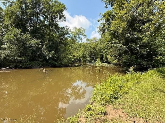 5783 Eagle Creek Rd, Leavittsburg, OH 44430 - water view featuring a heavily wooded area