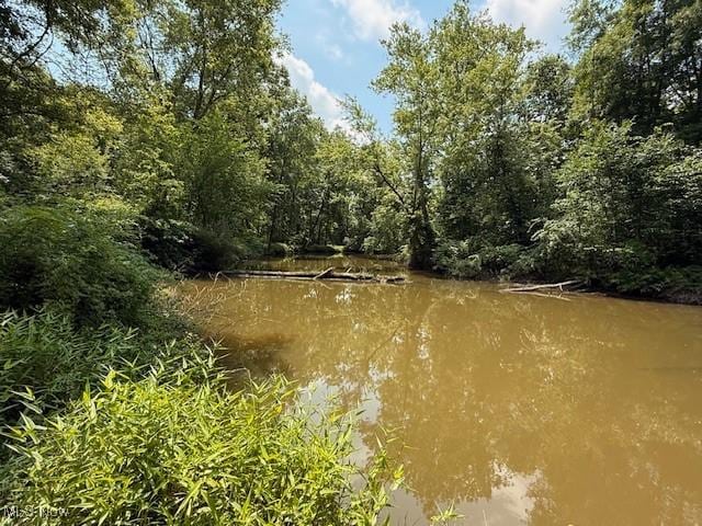 5783 Eagle Creek Rd, Leavittsburg, OH 44430 - water view with a forest