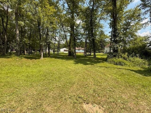 5783 Eagle Creek Rd, Leavittsburg, OH 44430 - view of grassy yard