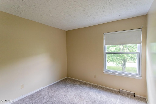 3062 Ivy Hill Cir Unit D, Cortland, OH 44410 - carpeted spare room with a textured ceiling
