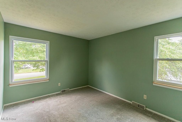 3062 Ivy Hill Cir Unit D, Cortland, OH 44410 - carpeted spare room featuring healthy amount of natural light