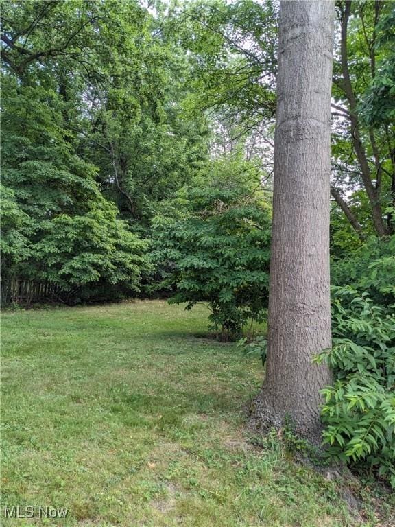 665 Hudson Ave, Akron, OH 44306 - photo 9