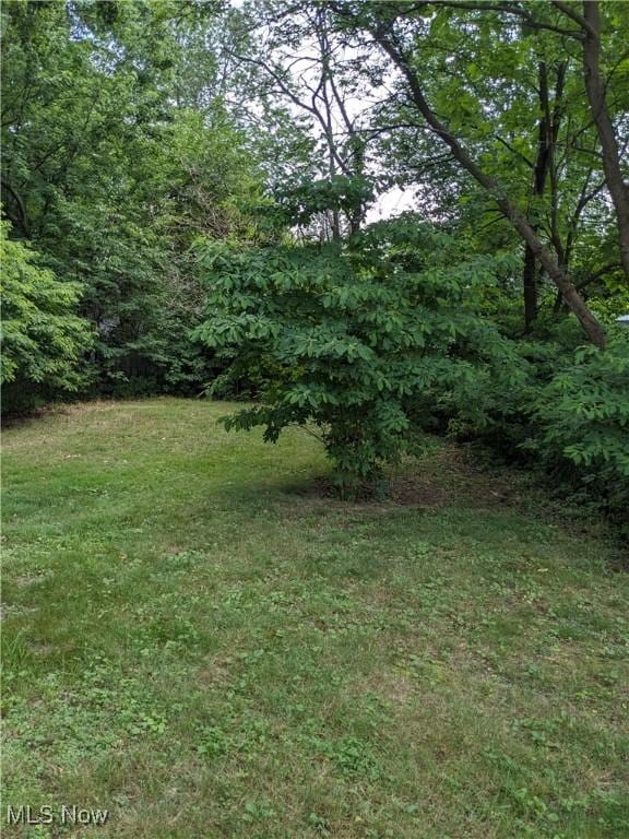 665 Hudson Ave, Akron, OH 44306 - photo 11