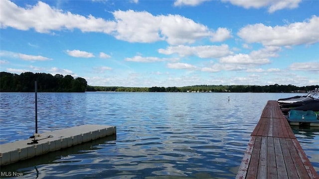 685 Shannon Pl, Aurora, OH 44202 - dock with a water view