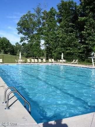 685 Shannon Pl, Aurora, OH 44202 - view of community pool
