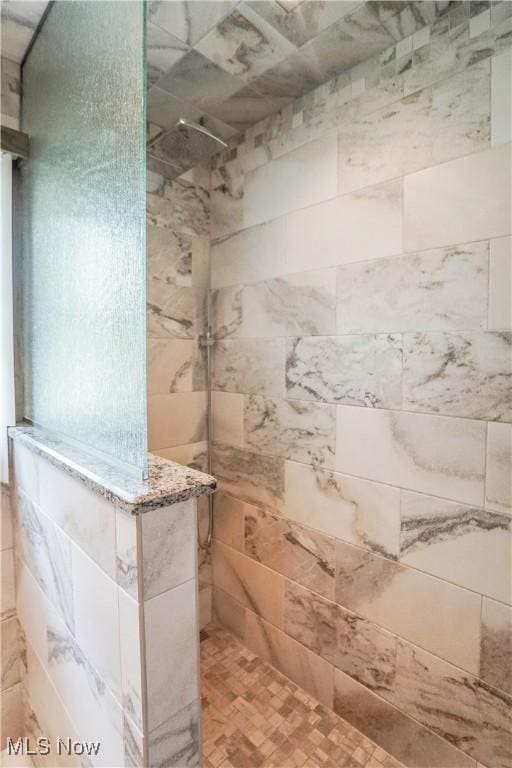 570 Rawlins Ave, New Franklin, OH 44319 - bathroom featuring a walk in shower