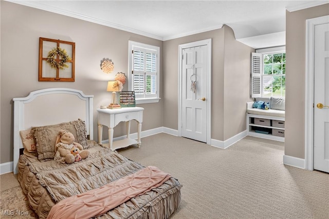 335 N Union Ave, Salem, OH 44460 - sitting room with crown molding and carpet flooring