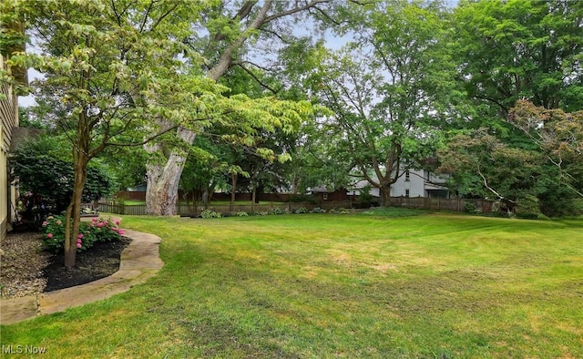 335 N Union Ave, Salem, OH 44460 - view of yard