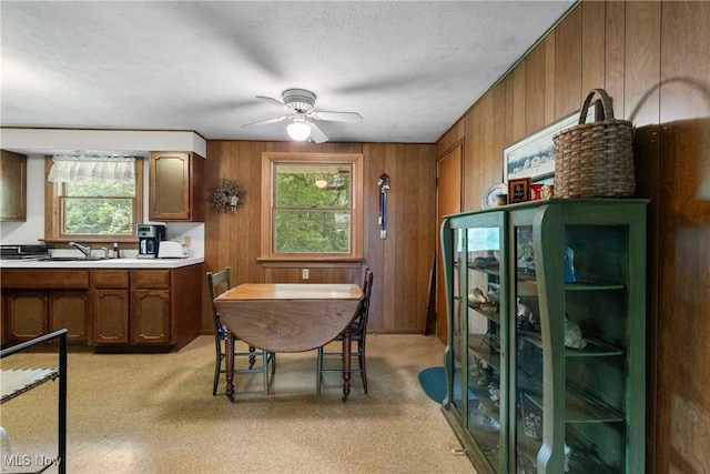 1089 Jones Dr, Salem, OH 44460 - photo 9