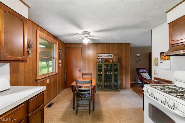 1089 Jones Dr, Salem, OH 44460 - photo 12