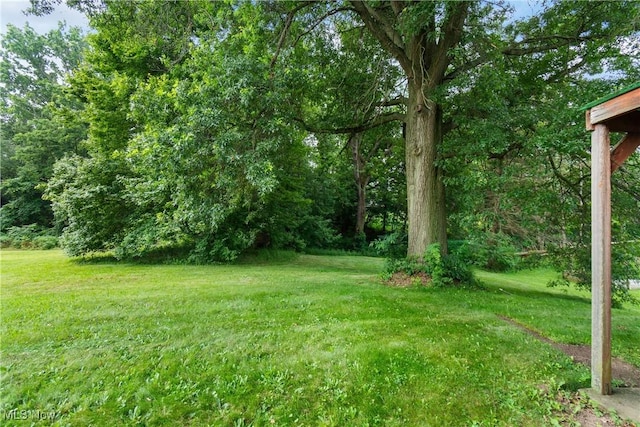 1089 Jones Dr, Salem, OH 44460 - photo 22
