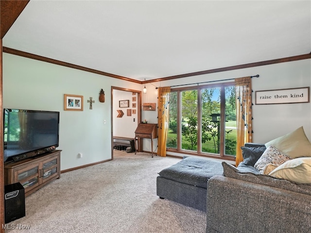 19070 Ridgeview Trl, Chagrin Falls, OH 44023 - living area featuring ornamental molding and carpet flooring