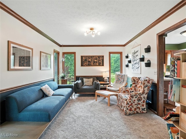 19070 Ridgeview Trl, Chagrin Falls, OH 44023 - carpeted living area featuring ornamental molding and a textured ceiling