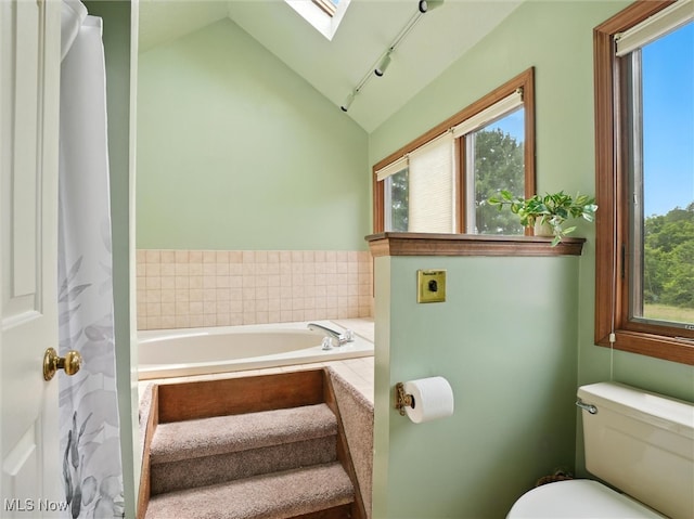 19070 Ridgeview Trl, Chagrin Falls, OH 44023 - full bathroom featuring a skylight, a bath, healthy amount of natural light, and vaulted ceiling