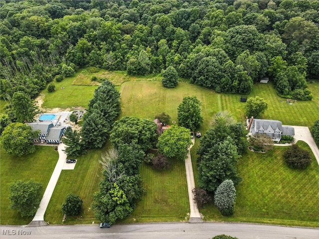 19070 Ridgeview Trl, Chagrin Falls, OH 44023 - bird's eye view