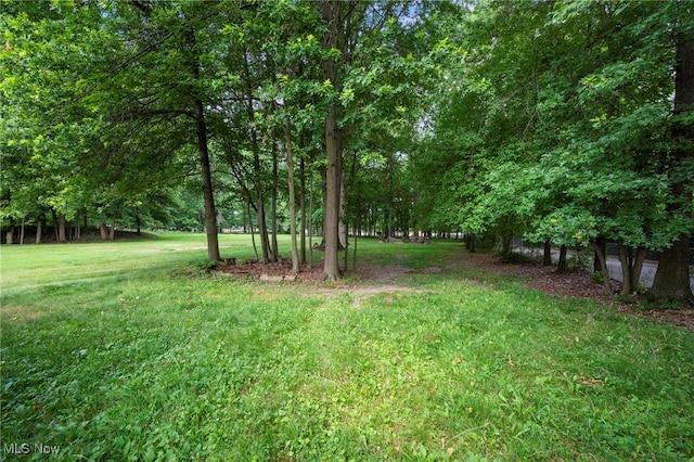 3016 Clague Rd, North Olmsted, OH 44070 - view of grassy yard