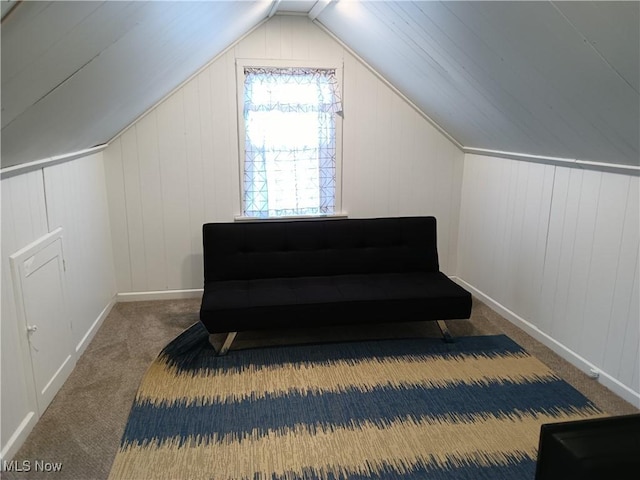 343 Genesee Ave NE, Warren, OH 44483 - additional living space featuring carpet floors and lofted ceiling