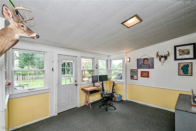 4219 3rd St NW, Canton, OH 44708 - carpeted office space with wooden walls