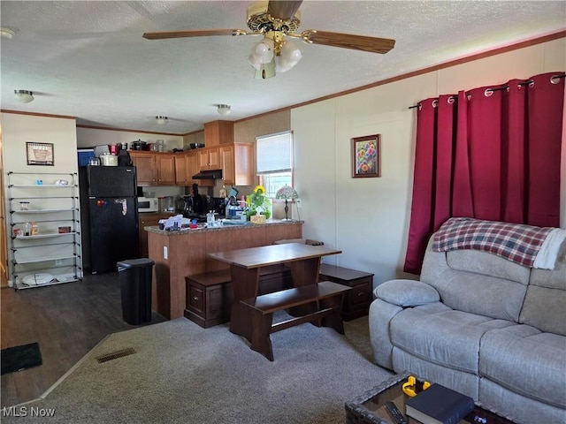 10039 State Route 700, Mantua, OH 44255 - living area with a textured ceiling, ornamental molding, a ceiling fan, and dark wood-style floors