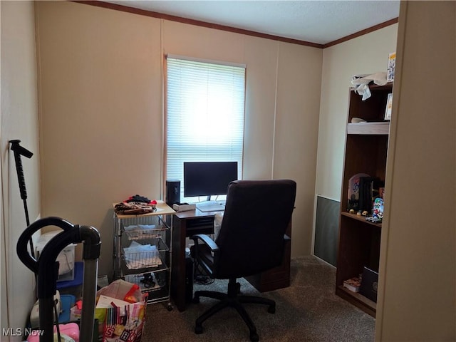 10039 State Route 700, Mantua, OH 44255 - carpeted home office with ornamental molding