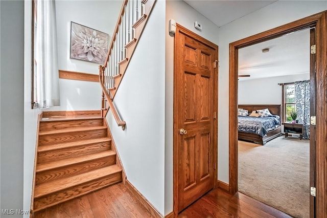 6388 Brianna Way NW, Warren, OH 44481 - staircase featuring wood finished floors and baseboards