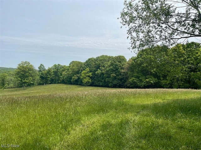 2070 Riggle Rd, Bellville, OH 44813 - photo 23