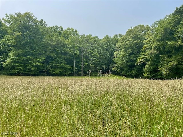 2070 Riggle Rd, Bellville, OH 44813 - photo 28