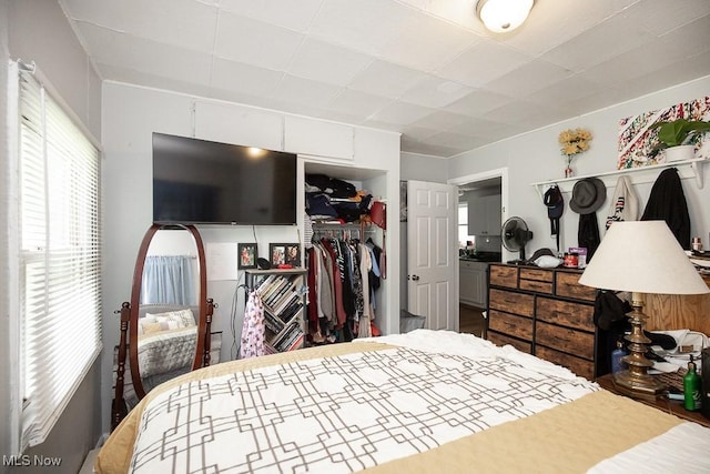 195 S Point Dr, Avon Lake, OH 44012 - bedroom featuring a closet