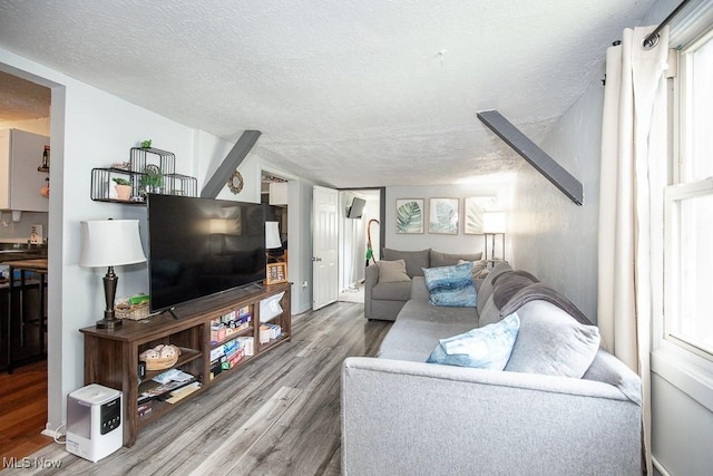 195 S Point Dr, Avon Lake, OH 44012 - living area featuring wood finished floors and a textured ceiling