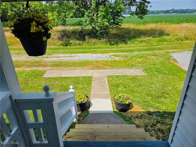 3986 Newton Falls Bailey Rd, Newton Falls, OH 44444 - view of grassy yard