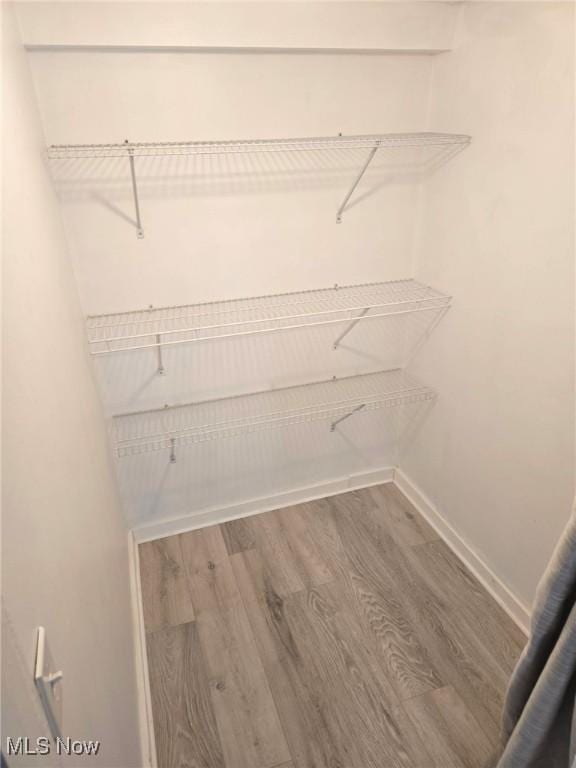 3986 Newton Falls Bailey Rd, Newton Falls, OH 44444 - walk in closet with wood finished floors