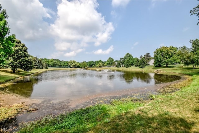 7208 S Galahad Pl, Concord Township, OH 44077 - water view