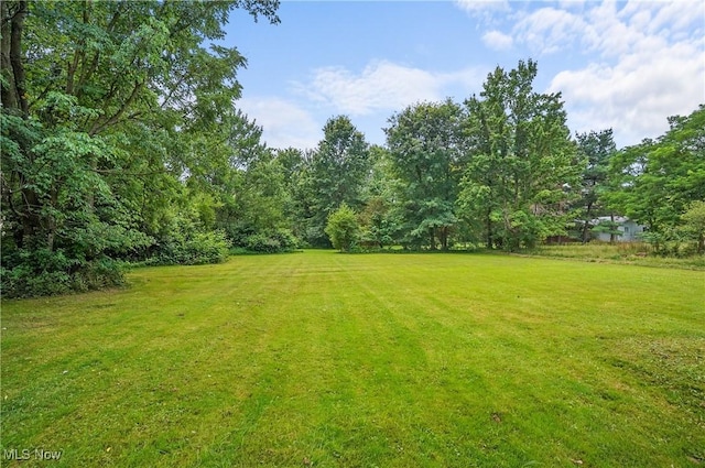 12230 Painesville Warren Rd, Concord, OH 44077 - view of grassy yard