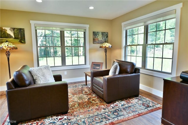 12 Bayview Cir, Cortland, OH 44410 - living area featuring healthy amount of natural light, wood finished floors, and recessed lighting