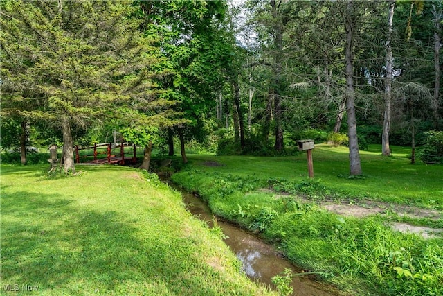 659 Lake Rd, Conneaut, OH 44030 - view of green lawn