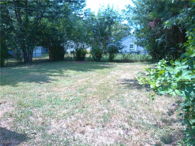 1064 E 168th St, Cleveland, OH 44110 - view of yard