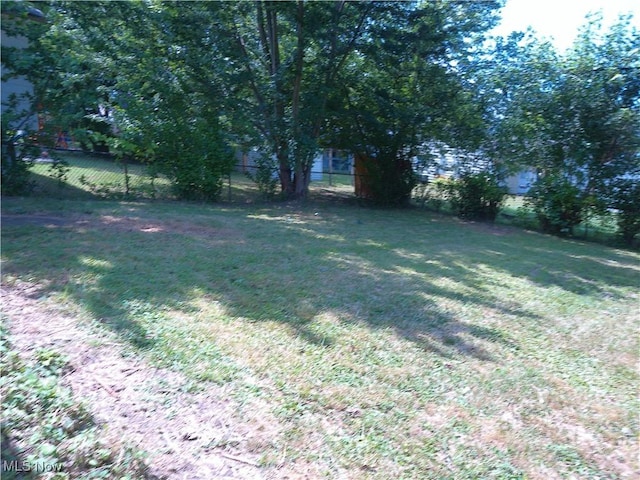 1064 E 168th St, Cleveland, OH 44110 - view of yard