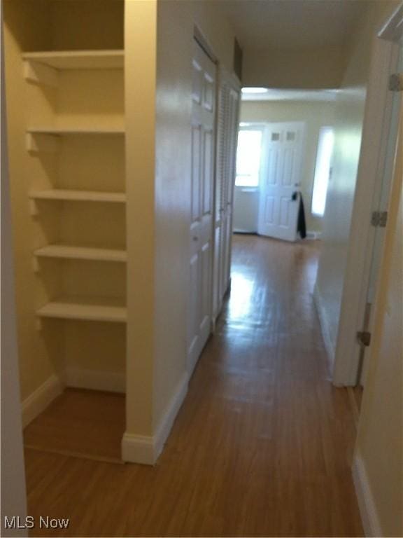 1064 E 168th St, Cleveland, OH 44110 - hall featuring wood finished floors and built in shelves