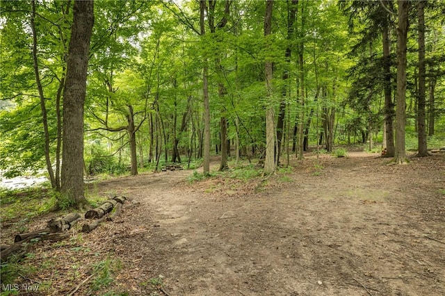 5621 Schustrich Rd, Mantua, OH 44255 - view of tree filled area