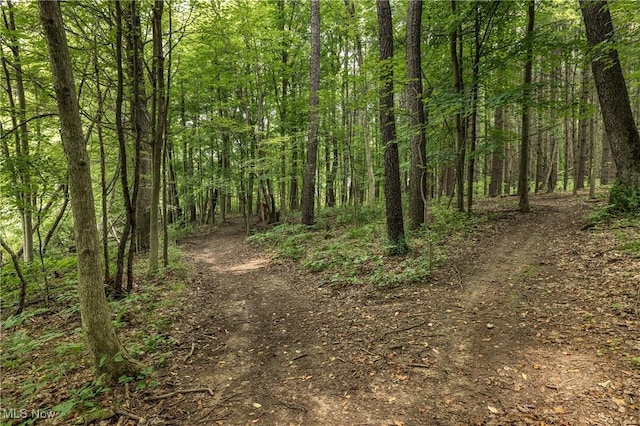 5621 Schustrich Rd, Mantua, OH 44255 - view of tree filled area