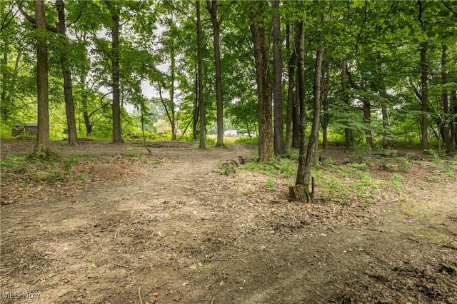 5621 Schustrich Rd, Mantua, OH 44255 - view of dirt / gravel driveway