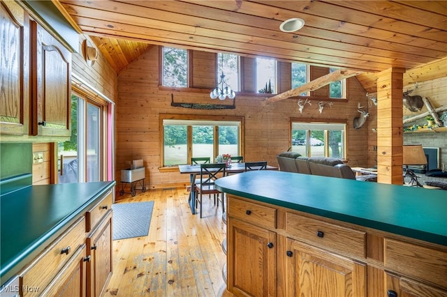 5621 Schustrich Rd, Mantua, OH 44255 - kitchen with lofted ceiling, wooden ceiling, plenty of natural light, light wood-type flooring, and wood walls