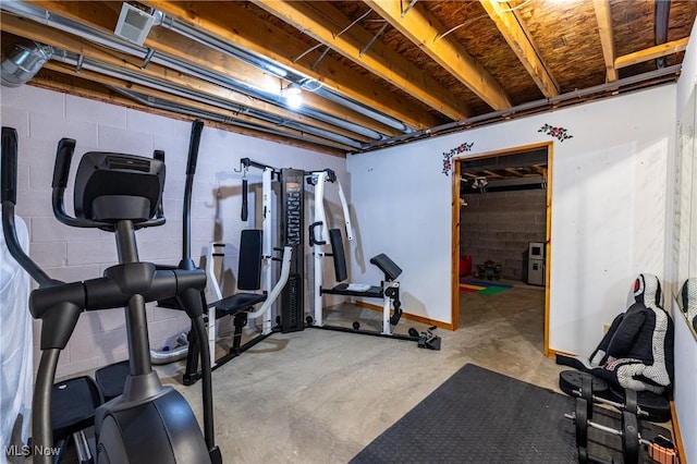 5621 Schustrich Rd, Mantua, OH 44255 - view of workout room