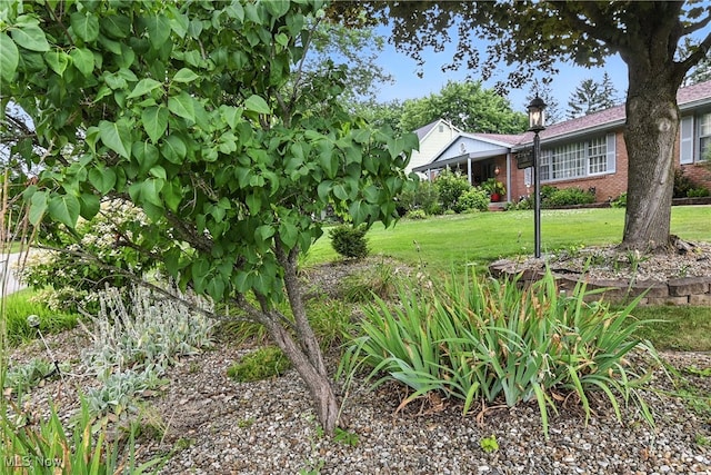 136 Elmridge Rd, Mansfield, OH 44907 - view of green lawn