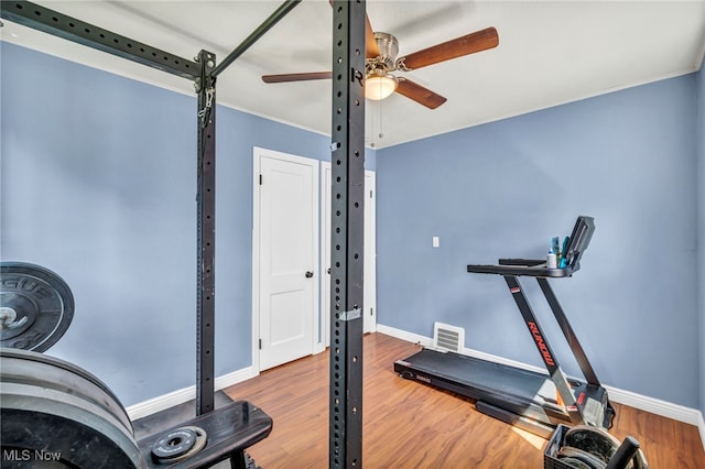 21100 Watson Rd, Maple Heights, OH 44137 - workout room featuring a ceiling fan and wood finished floors