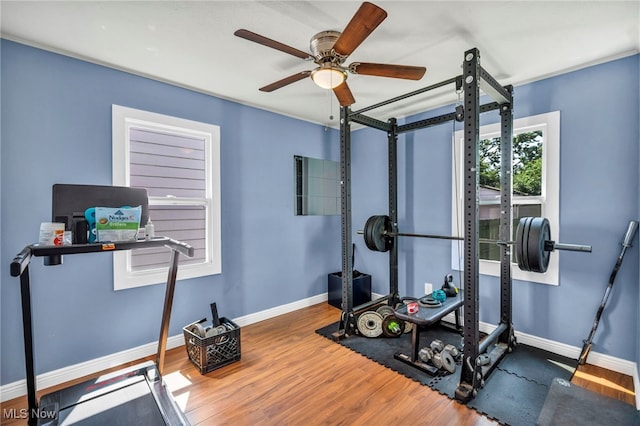 21100 Watson Rd, Maple Heights, OH 44137 - workout room featuring a ceiling fan and wood finished floors
